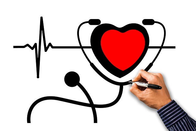 heart-3498851_640
